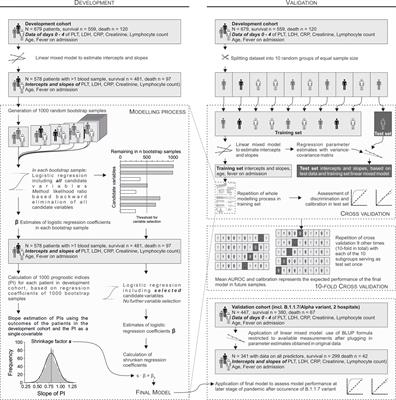 A Model Predicting Mortality of Hospitalized Covid-19 Patients Four Days After Admission: Development, Internal and Temporal-External Validation